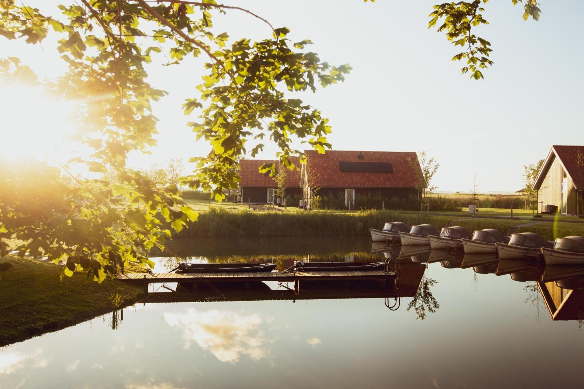 Boomhuis Met Optioneel Wellness - De Schreiershoek Holiday home Dokkum