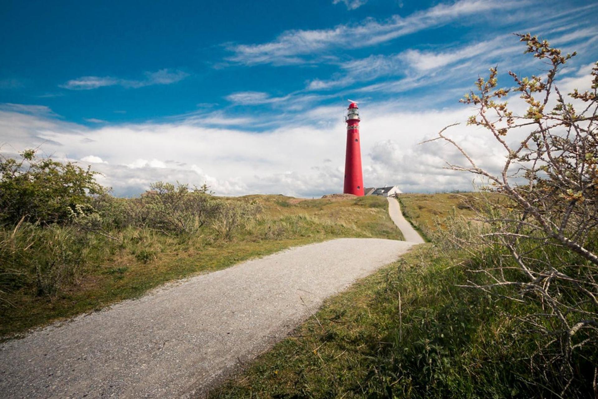Holiday home Boomhuis Met Optioneel Wellness - De Schreiershoek