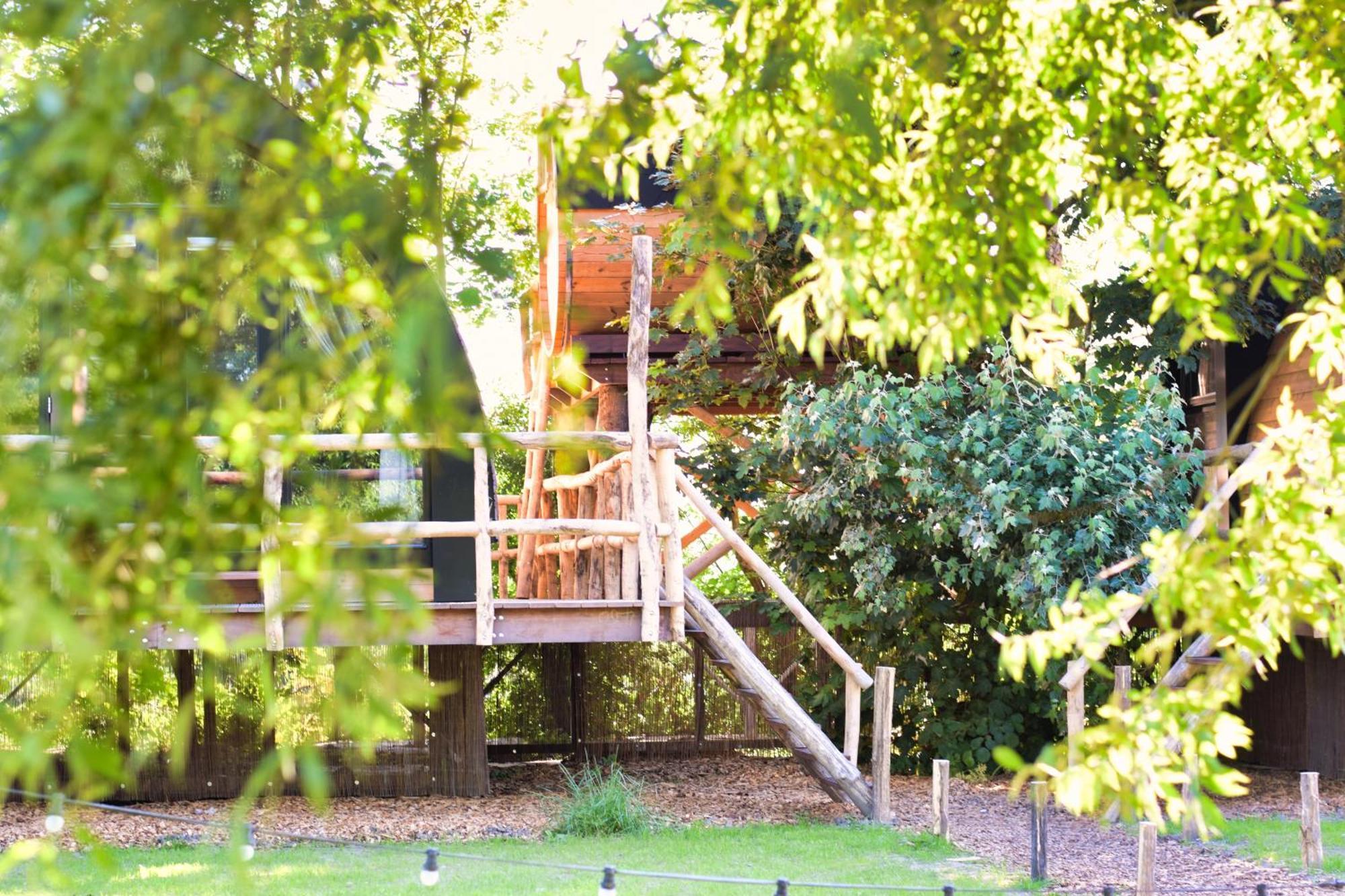 Boomhuis Met Optioneel Wellness - De Schreiershoek *