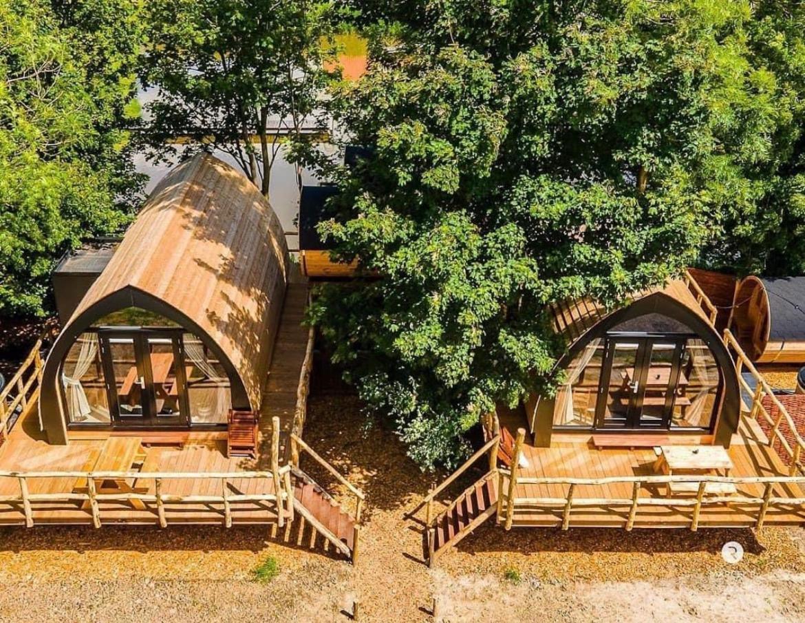 Boomhuis Met Optioneel Wellness - De Schreiershoek *
