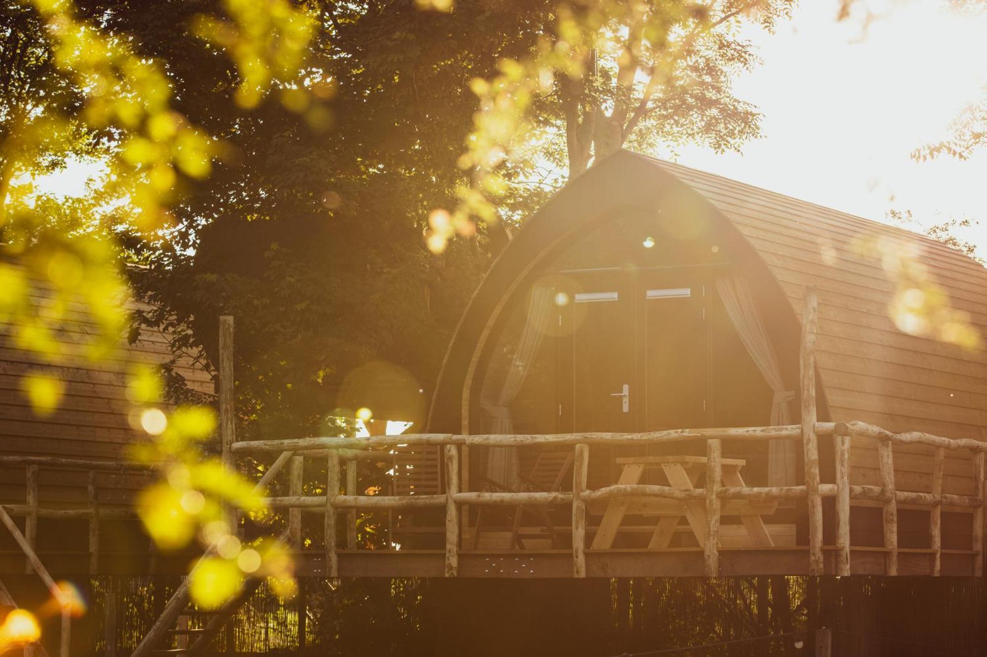 Boomhuis Met Optioneel Wellness - De Schreiershoek * Dokkum